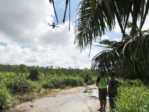 マレーシアにおける海外実験実施状況（写真）