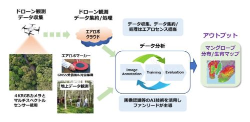 実証実験での取り組み概要